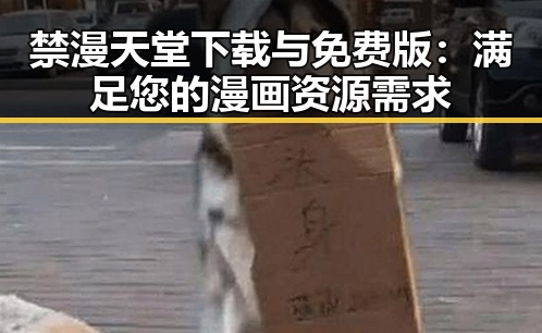 禁漫天堂下载与免费版：满足您的漫画资源需求
