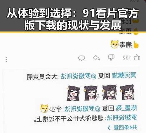 从体验到选择：91看片官方版下载的现状与发展