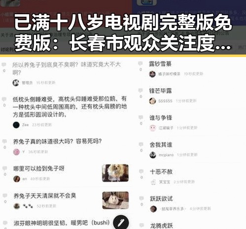 已满十八岁电视剧完整版免费版：长春市观众关注度提升