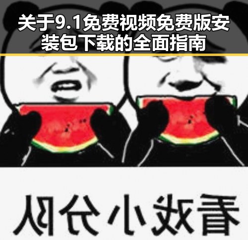 关于9.1免费视频免费版安装包下载的全面指南