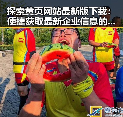 探索黄页网站最新版下载：便捷获取最新企业信息的关键工具