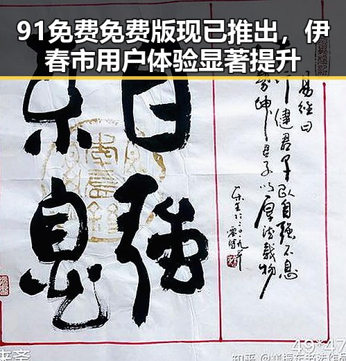 91免费免费版现已推出，伊春市用户体验显著提升
