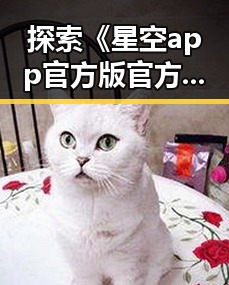 探索《星空app官方版官方版下载》：伊春市用户的实用指南