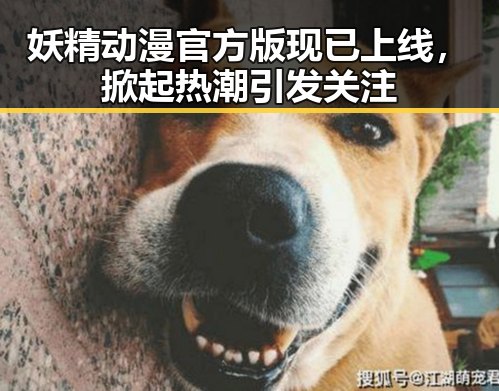 妖精动漫官方版现已上线，掀起热潮引发关注