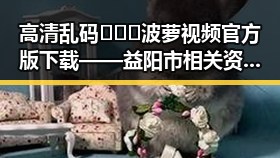 高清乱码🔞❌♋波萝视频官方版下载——益阳市相关资讯与资源介绍