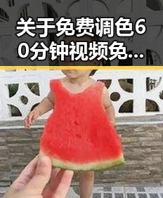 关于免费调色60分钟视频免费版的详尽介绍