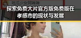 探索免费大片官方版免费版在孝感市的现状与发展