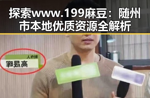 探索 www.199麻豆：随州市本地优质资源全解析