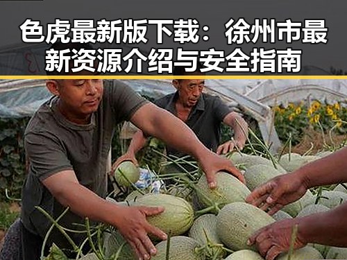 色虎最新版下载：徐州市最新资源介绍与安全指南