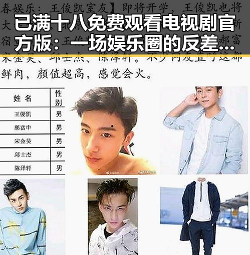 已满十八免费观看电视剧官方版：一场娱乐圈的反差体验