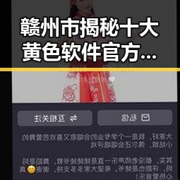 赣州市揭秘十大黄色软件官方版，安全可靠且实用