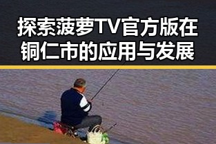 探索菠萝TV官方版在铜仁市的应用与发展