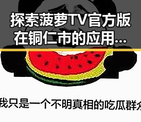 探索菠萝TV官方版在铜仁市的应用与发展