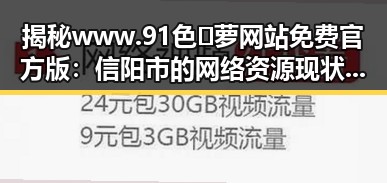 揭秘www.91色😍萝网站免费官方版：信阳市的网络资源现状与发展