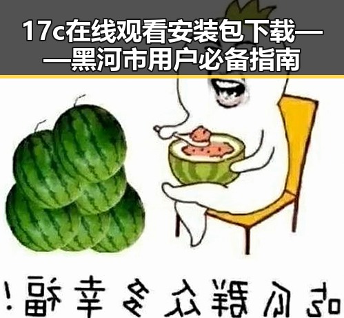 17c在线观看安装包下载——黑河市用户必备指南