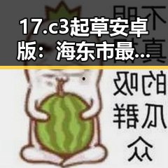 17.c3起草安卓版：海东市最新应用引领办公新风潮