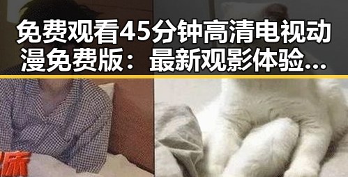 免费观看45分钟高清电视动漫免费版：最新观影体验全解析