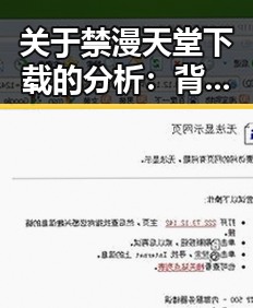 关于禁漫天堂下载的分析：背后的网络文化现象