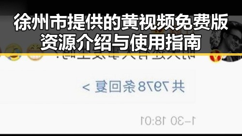 徐州市提供的黄视频免费版资源介绍与使用指南