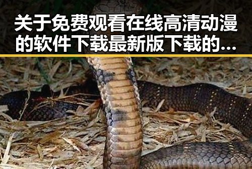 关于 免费观看在线高清动漫的软件下载最新版下载的详解与现状分析