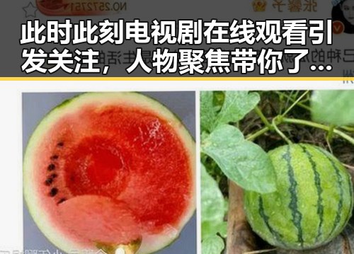 此时此刻电视剧在线观看引发关注，人物聚焦带你了解最新动态