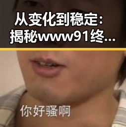 从变化到稳定：揭秘www91终极手册的演变历程