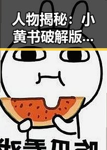 人物揭秘:小黄书破解版下载绿色版的背后故事