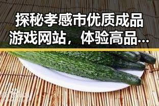 探秘孝感市优质成品游戏网站，体验高品质娱乐体验