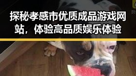 探秘孝感市优质成品游戏网站，体验高品质娱乐体验