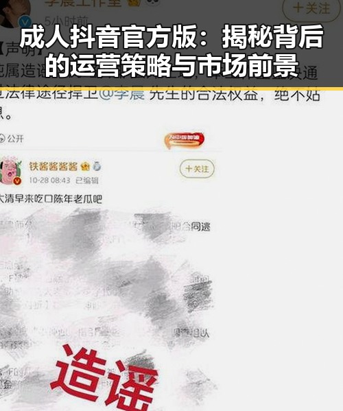 成人抖音官方版：揭秘背后的运营策略与市场前景