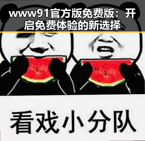 www91官方版免费版：开启免费体验的新选择