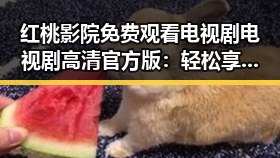 红桃影院免费观看电视剧电视剧高清官方版：轻松享受精彩内容