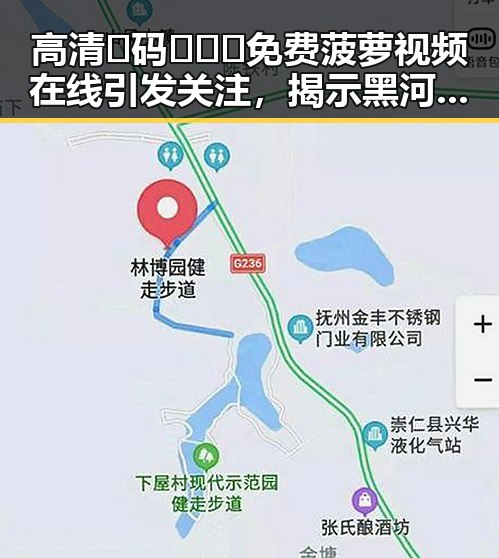 高清🈚码🔞❌♋免费菠萝视频在线引发关注，揭示黑河市最新娱乐资源