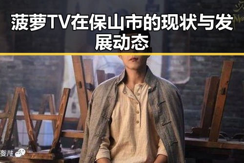 菠萝TV在保山市的现状与发展动态