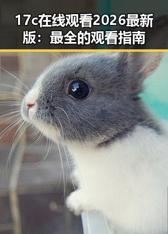 17c在线观看2026最新版：最全的观看指南