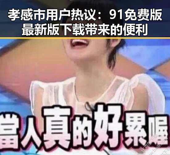 孝感市用户热议：91免费版最新版下载带来的便利