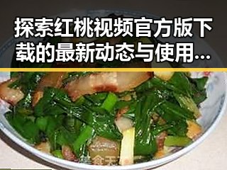 探索红桃视频官方版下载的最新动态与使用指南