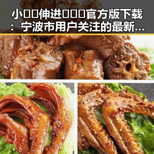 小🐔🐔伸进🈲🔞🔞官方版下载：宁波市用户关注的最新内容