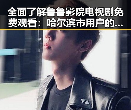 全面了解鲁鲁影院电视剧免费观看：哈尔滨市用户的优选平台