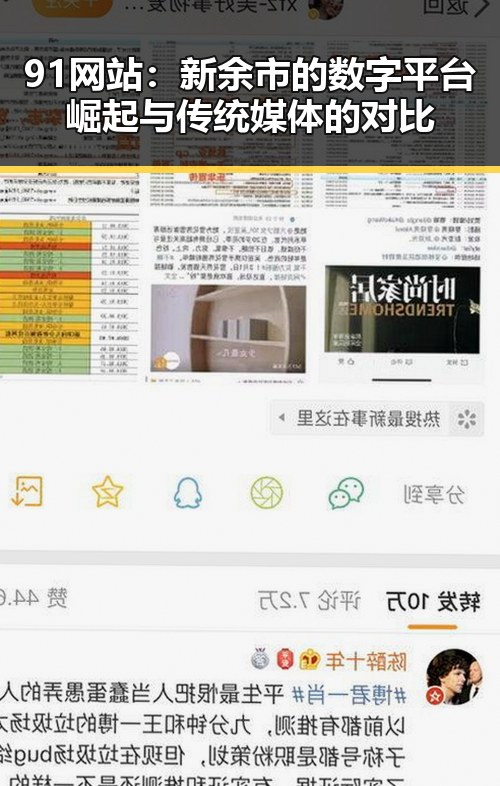 91网站：新余市的数字平台崛起与传统媒体的对比