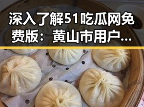 深入了解51吃瓜网免费版:黄山市用户的娱乐新宠