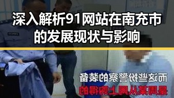 深入解析91网站在南充市的发展现状与影响