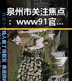 泉州市关注焦点：www91官方版免费版引领行业新潮流