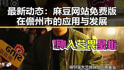 最新动态：麻豆网站免费版在儋州市的应用与发展