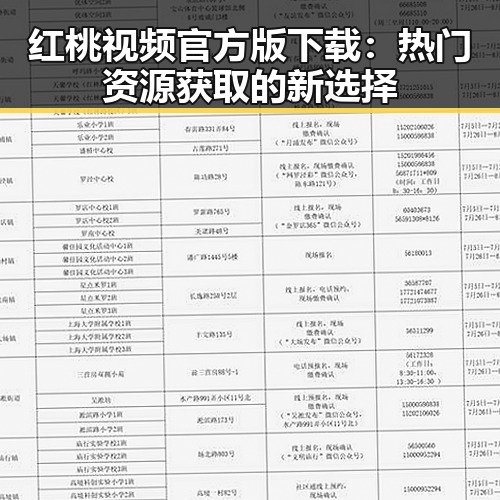 红桃视频官方版下载：热门资源获取的新选择