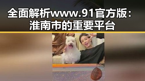 全面解析www.91官方版：淮南市的重要平台