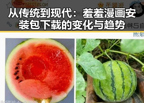 从传统到现代：羞羞漫画安装包下载的变化与趋势