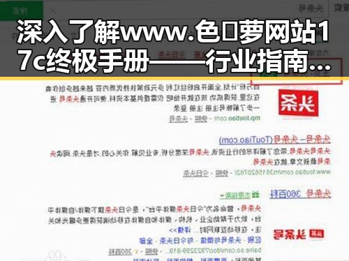 深入了解 www.色😍萝网站17c终极手册——行业指南与实用建议
