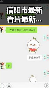 信阳市最新看片最新版下载指南：掌握最新资源推荐