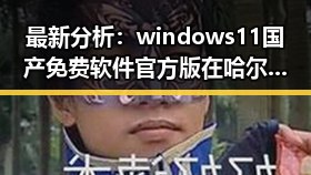 最新分析：windows11国产免费软件官方版在哈尔滨市的应用现状